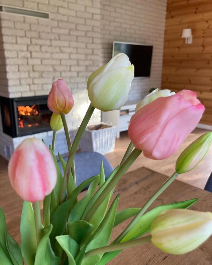 Domek Nalesie Dudowizna 외부 사진